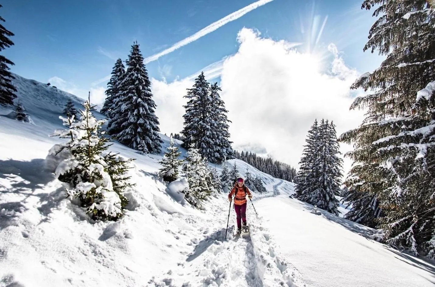 Apartment Veronica Vr79 Nature & Mountain 3 Pers Chatel