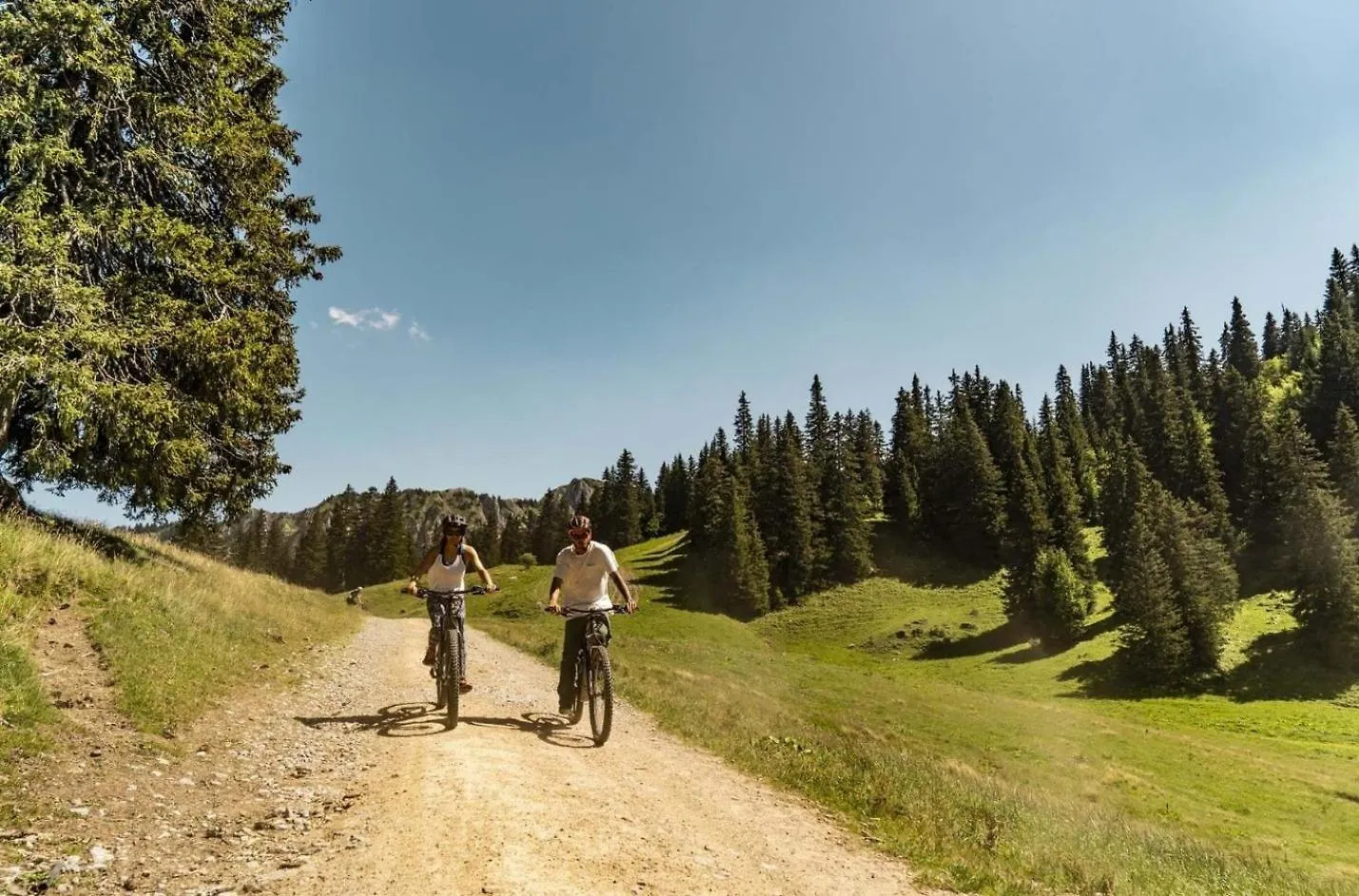 Veronica Vr79 Nature & Mountain 3 Pers Chatel 0*,  France